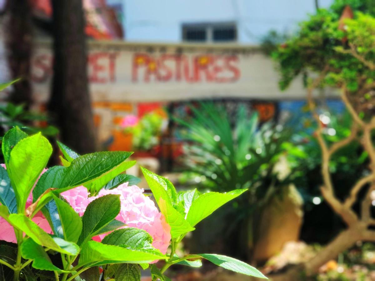 Gallery Family Hotel موكبو المظهر الخارجي الصورة